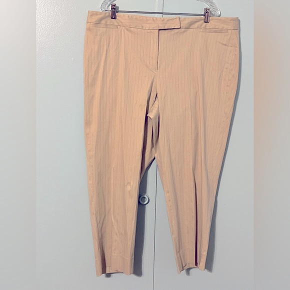 Rafaella Pants - Rafaella Suit Pants Size 20W Tan Pin Stripes Matches D-150 Jacket‎ (18W)